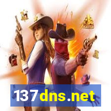 137dns.net