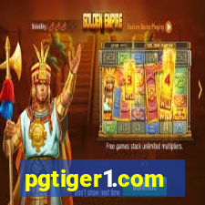 pgtiger1.com